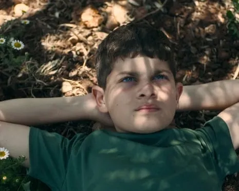 Israel's Culture Minister Vows to Withdraw Ophir Awards Funding After Palestinian Story Film Wins Best Feature