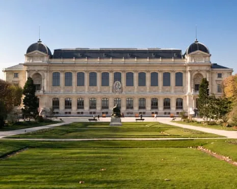 Invaluable Gold Samples Snatched in Audacious Robbery at French National Institution